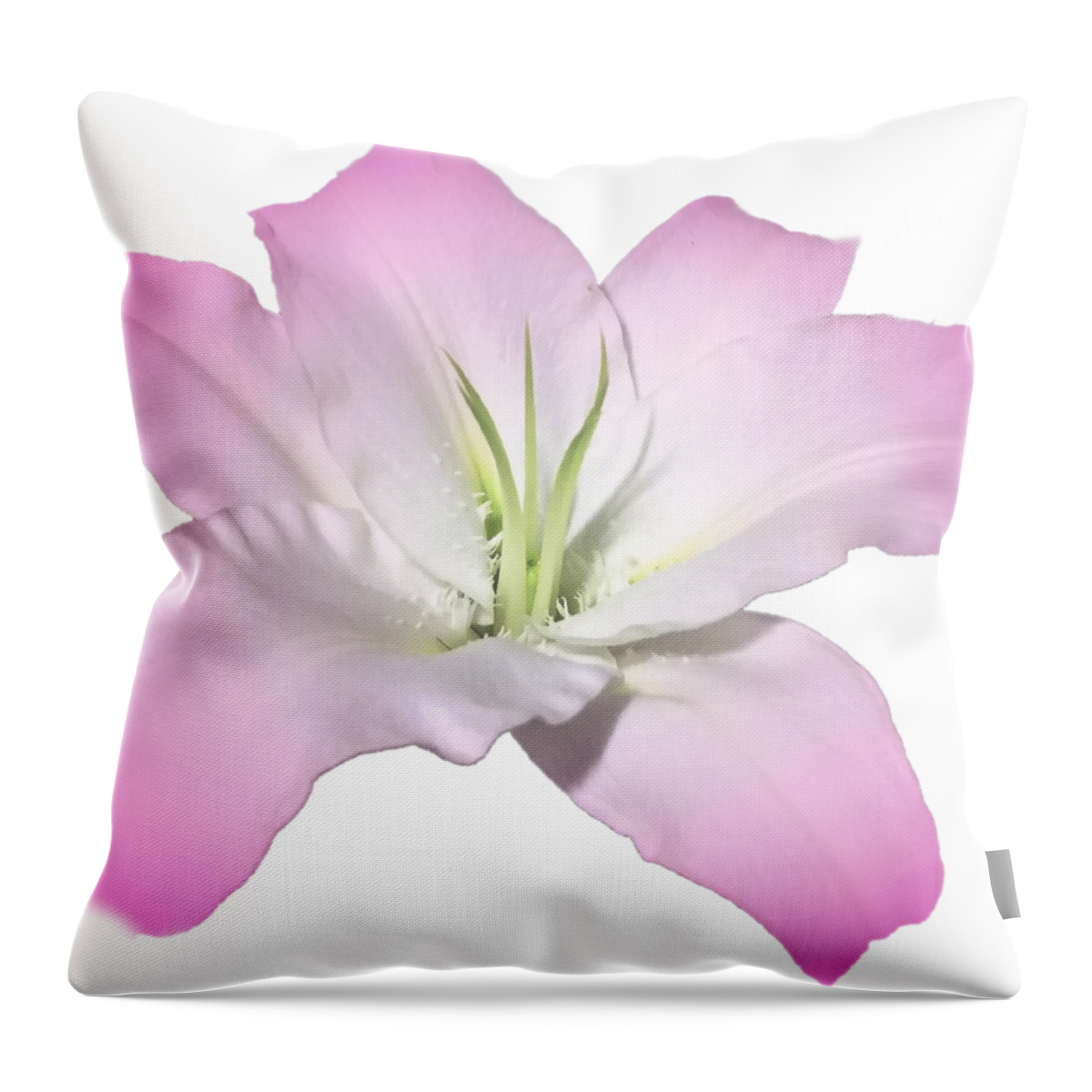 Pink Throw Pillow featuring the photograph Pink Lily Flower Photograph Best for Shirts by Delynn Addams
