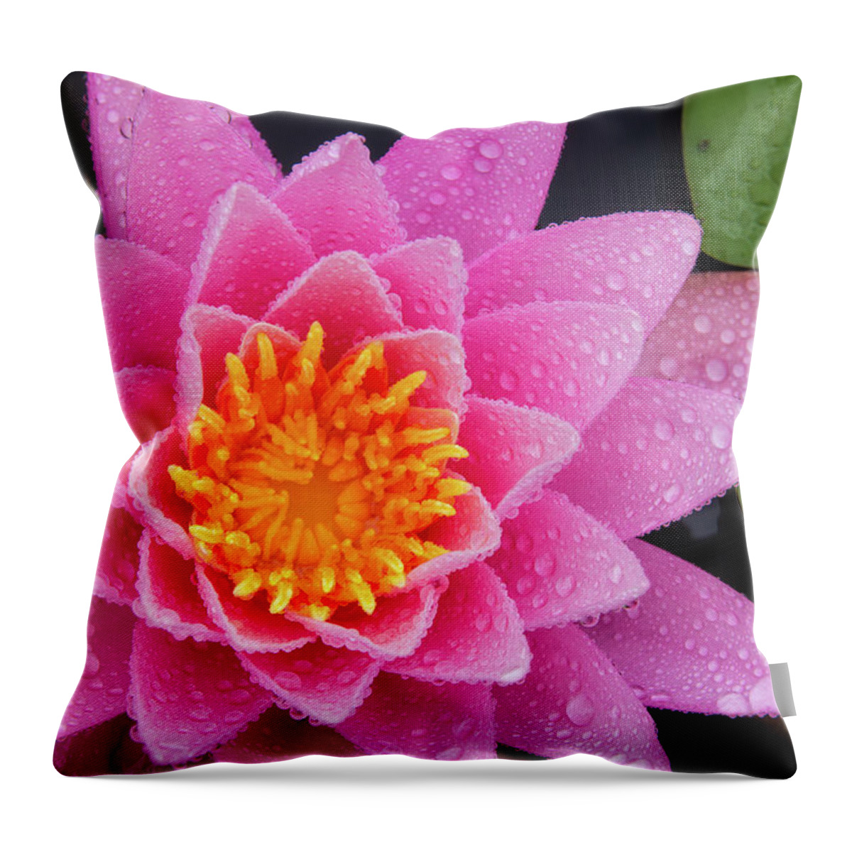 Bellamy Reservoir Throw Pillow featuring the photograph Pink Petals In The Rain by Jeff Sinon