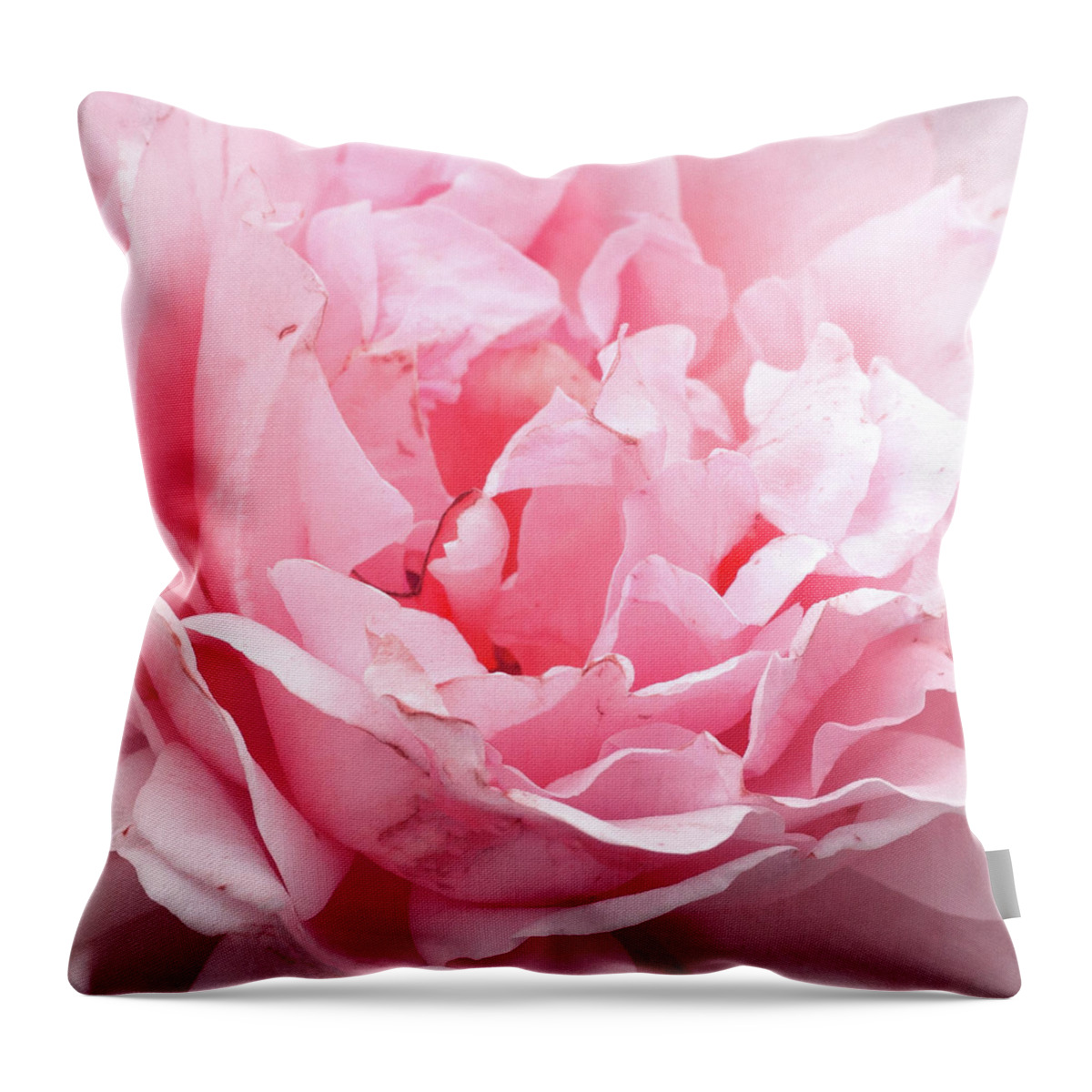 Pink Throw Pillow featuring the mixed media Pink Rose II by Emily Navas