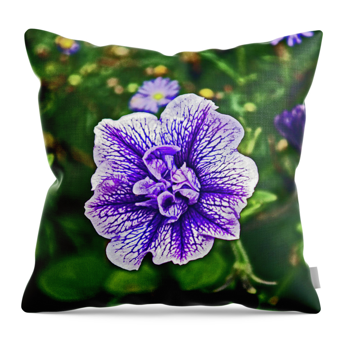 Scotland Throw Pillow featuring the photograph PITLOCHRY. Purple Petunia. by Lachlan Main