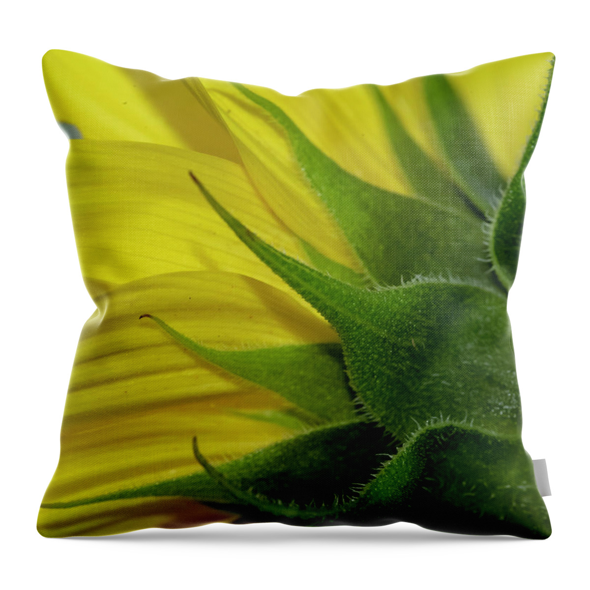 Yellow Throw Pillow featuring the photograph Pointed by Cathy Kovarik