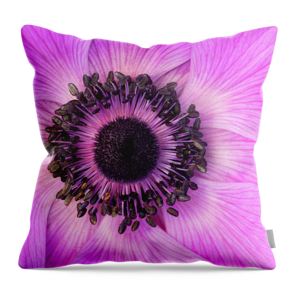 Flowers Throw Pillow featuring the photograph Poppy Anemone by Patty Colabuono