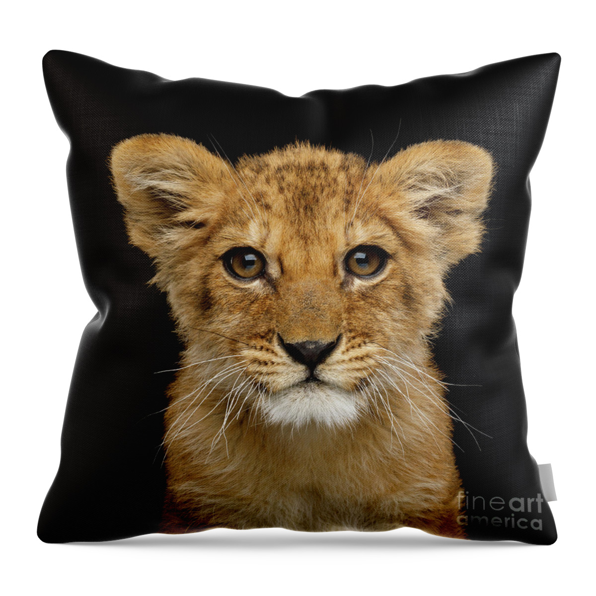 Portrait Throw Pillow featuring the photograph Portrait of little lion by Sergey Taran