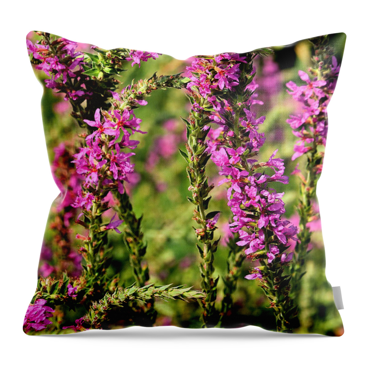 Delphinium Throw Pillow featuring the photograph Potomac Summer No.1 by Steve Ember