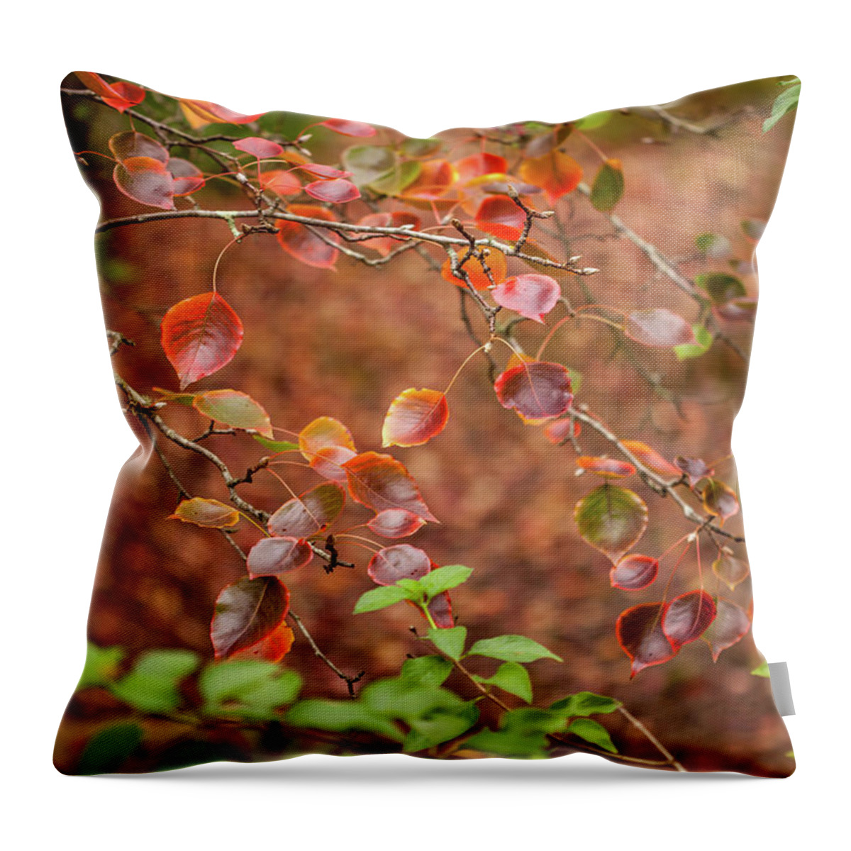 Autumn Leaves Throw Pillow featuring the photograph Prepping For Winter by Az Jackson