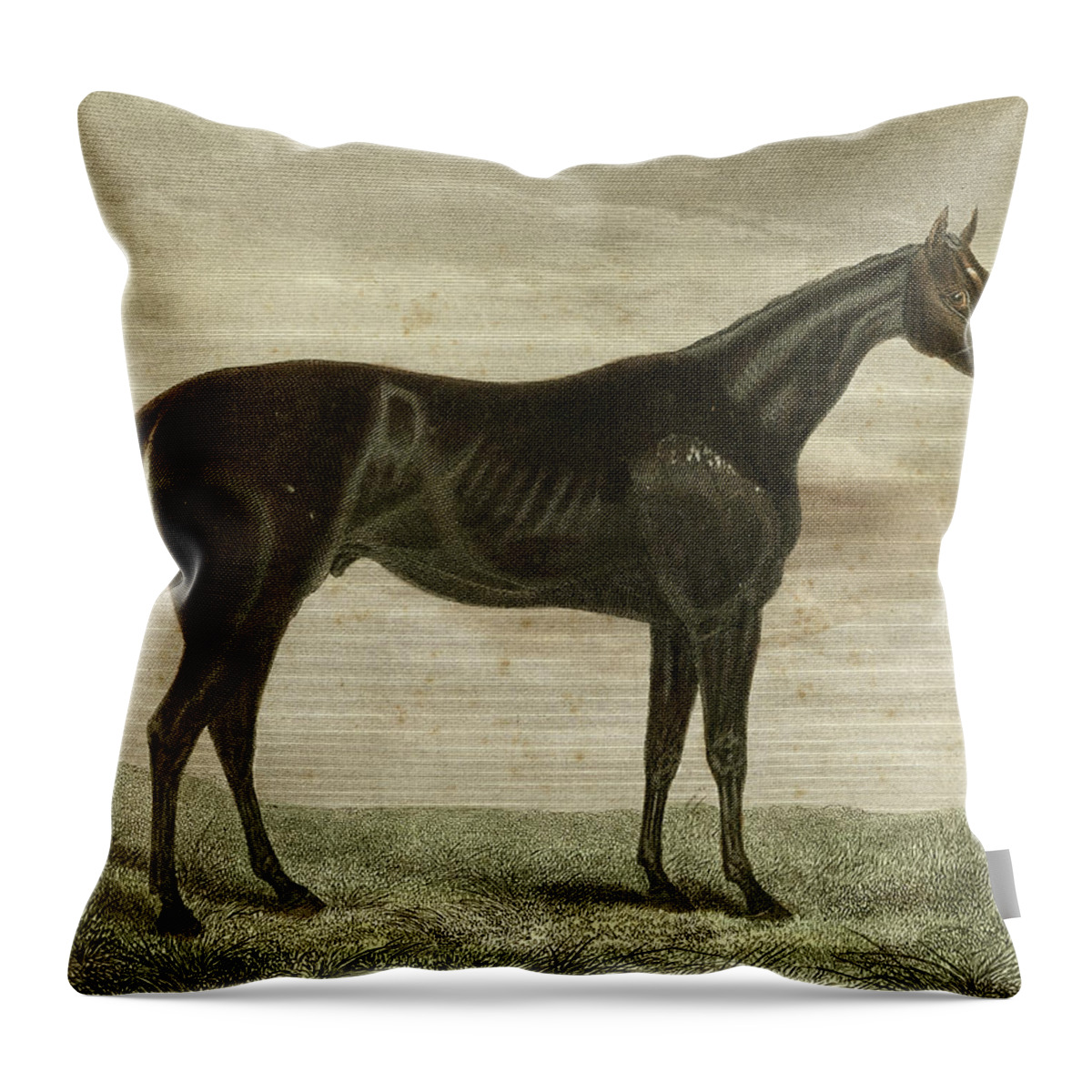 Professional Throw Pillow featuring the painting Pretender by Unknown