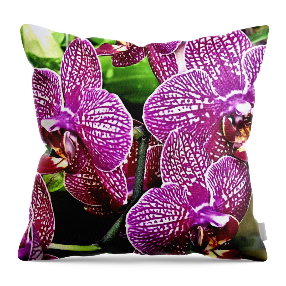purple pillows for sale