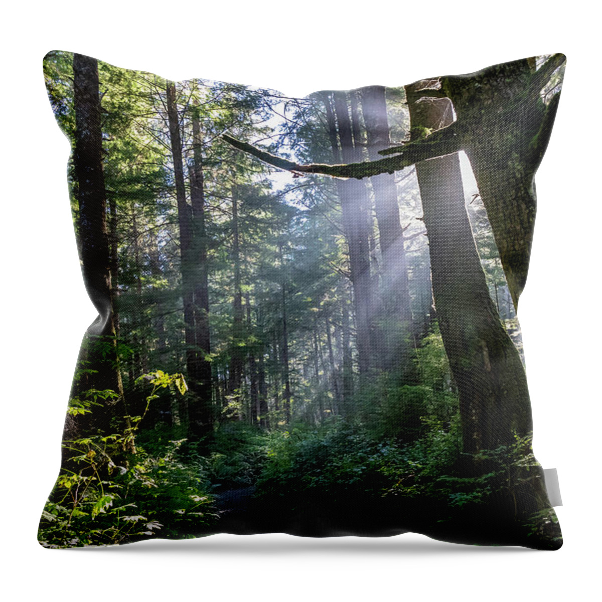 Background Throw Pillow featuring the photograph Rain Forest at La Push by Ed Clark