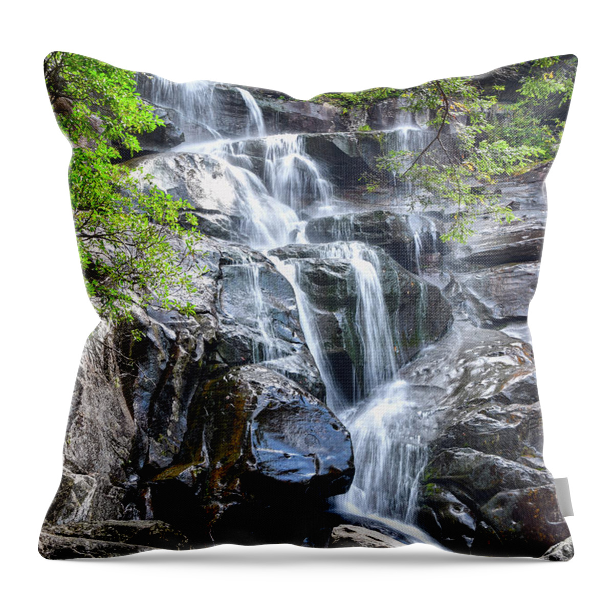 Ramsey Cascades Throw Pillow featuring the photograph Ramsey Cascades 8 by Phil Perkins