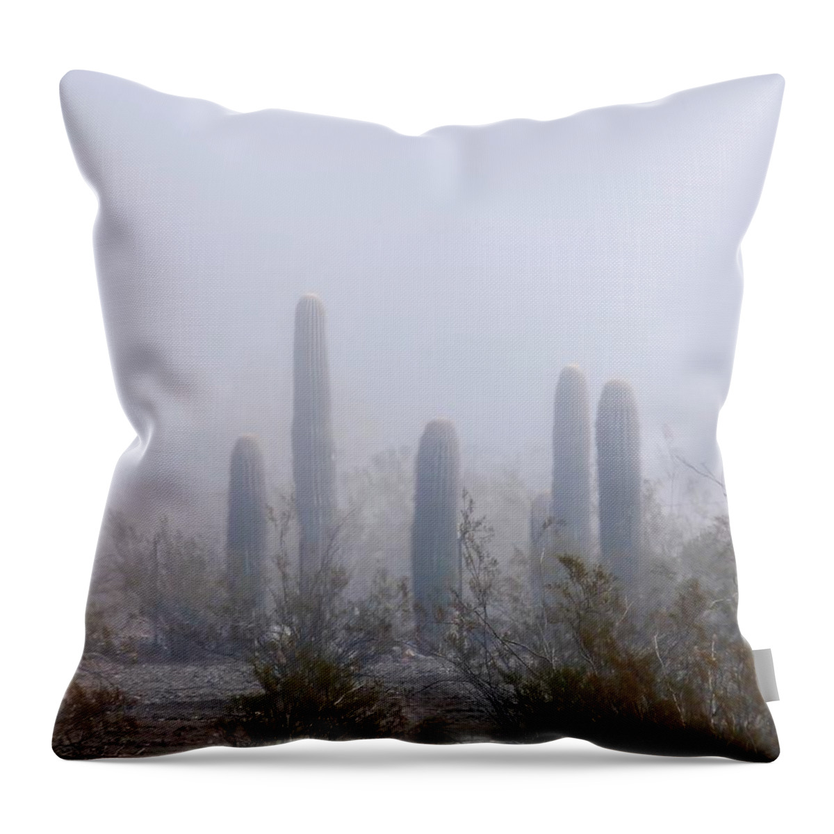 Affordable Throw Pillow featuring the photograph Rare Desert Fog by Judy Kennedy