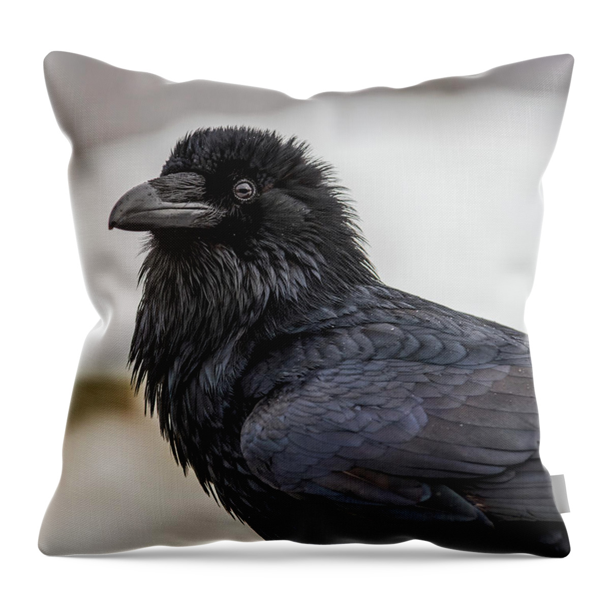 Raven Throw Pillow featuring the photograph Raven 4 by David Kirby