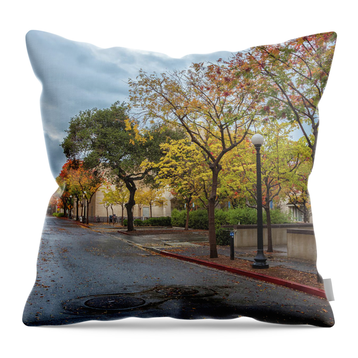Architectures Throw Pillow featuring the photograph Recess by Jonathan Nguyen