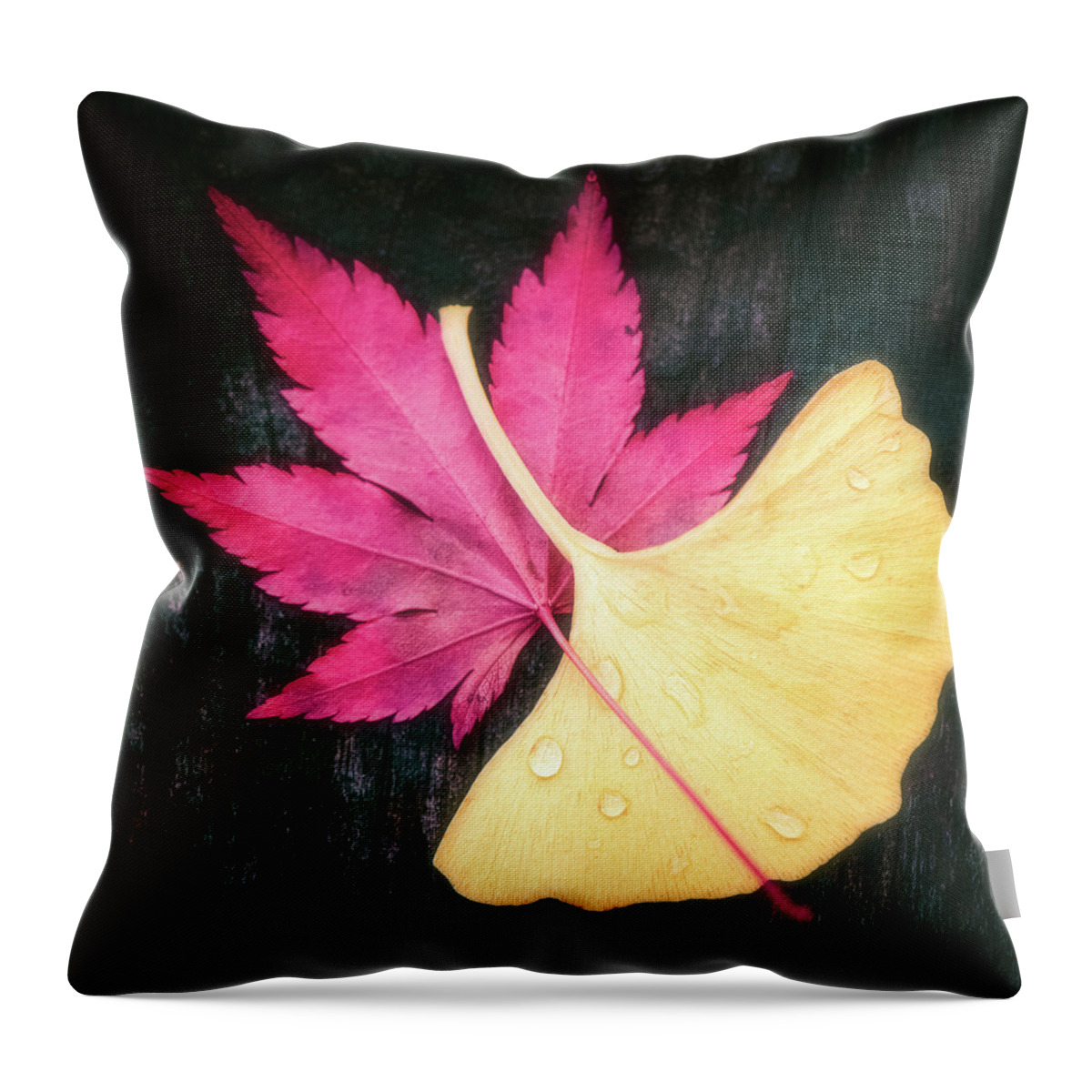 Autumn Throw Pillow featuring the photograph Red and Yellow by Philippe Sainte-Laudy