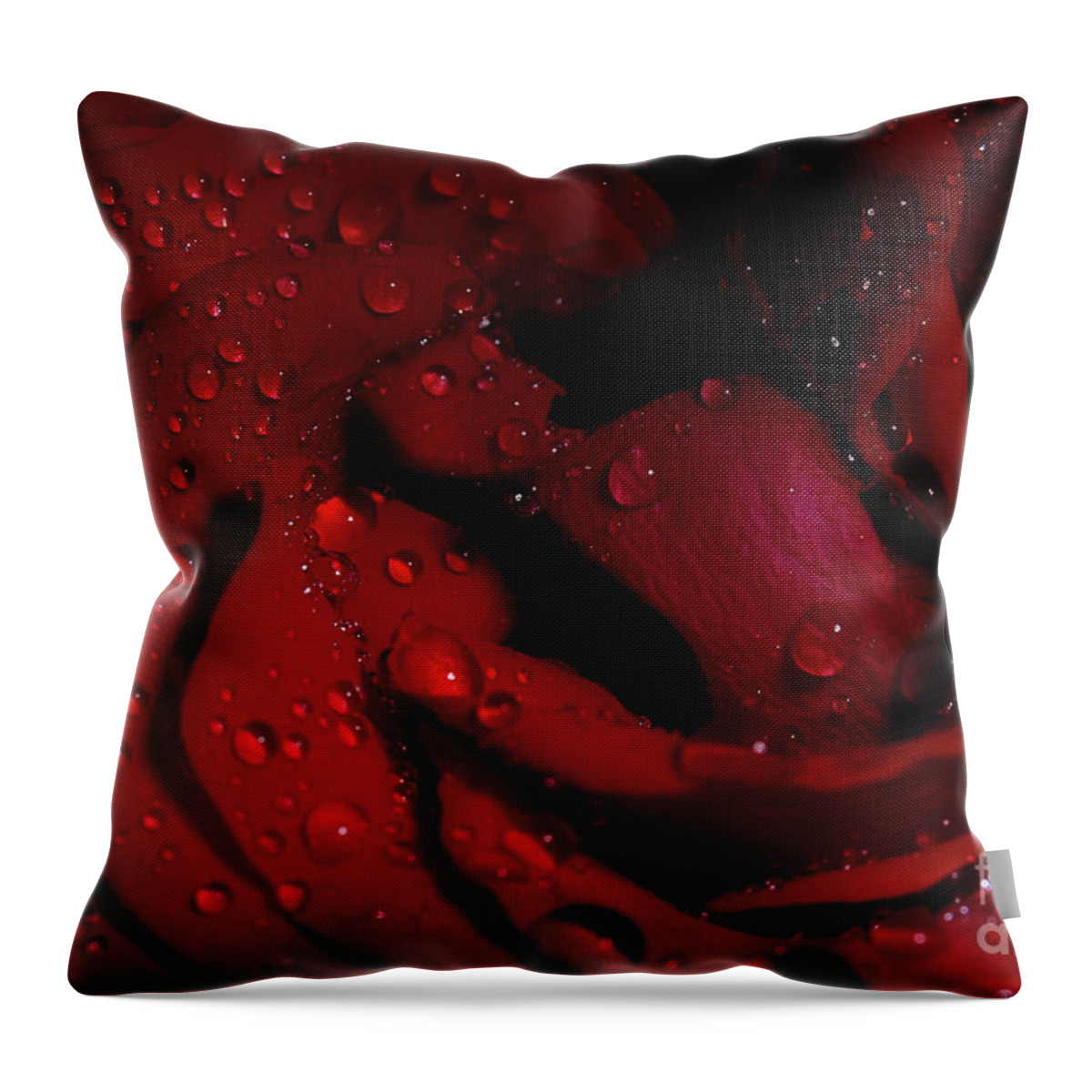 Rose Throw Pillow featuring the photograph Red Rose Layers by Mike Eingle