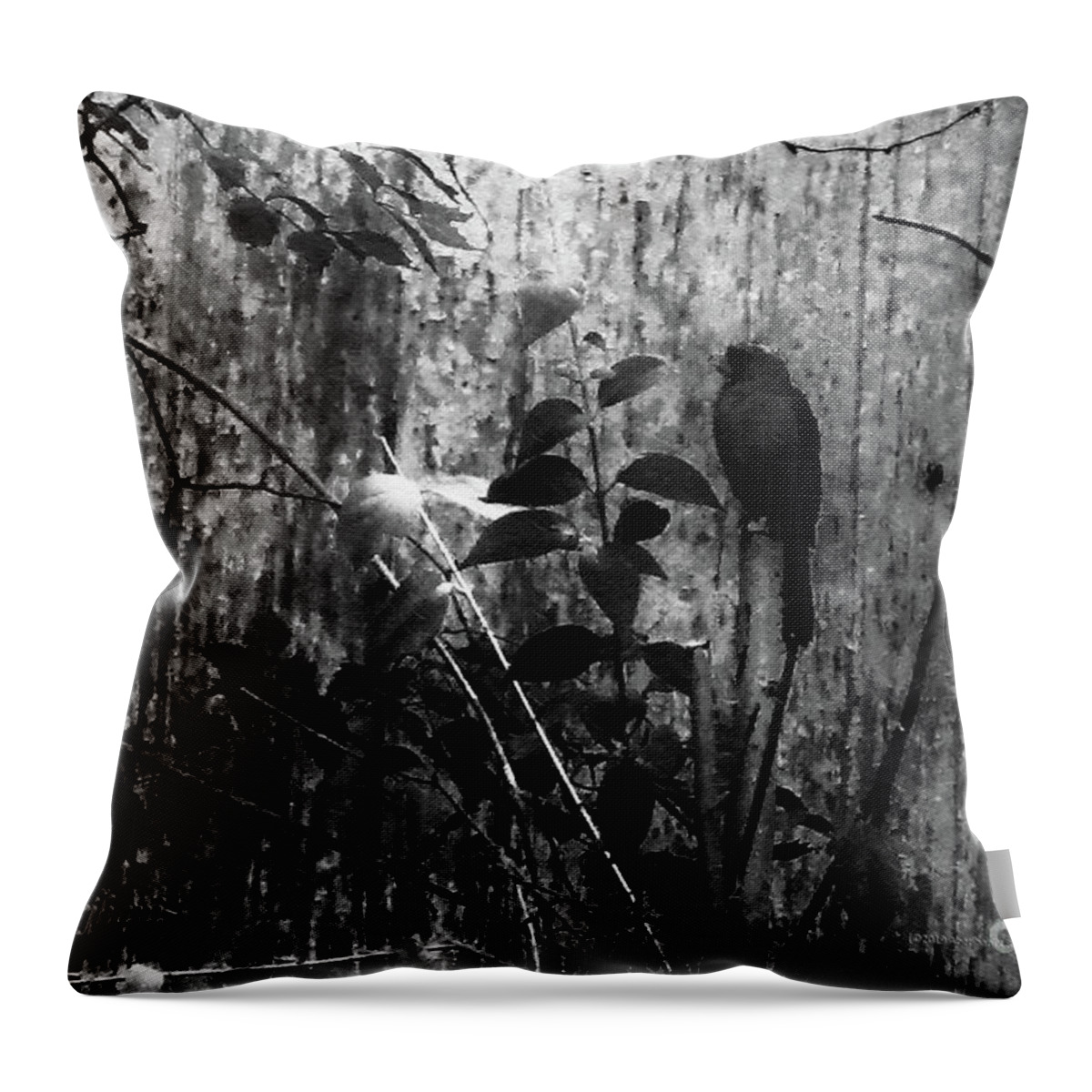 Red Birds Throw Pillow featuring the photograph Redbird Enjoying the Clarity of a Blue and Green Black and White Moment by Aberjhani