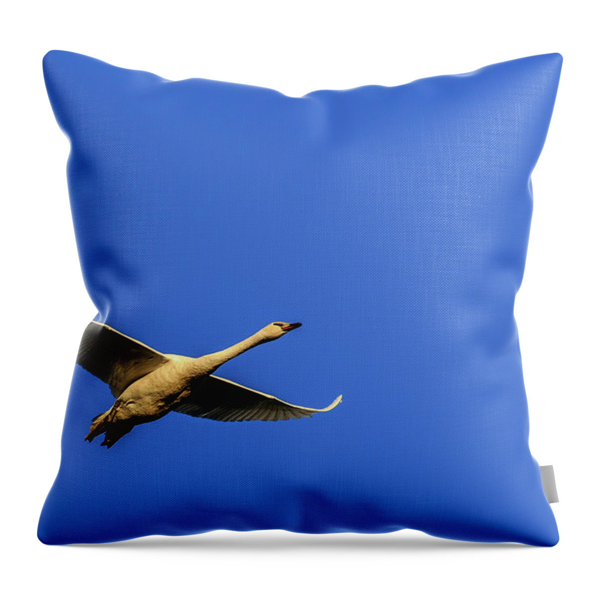 Skagit Valley Throw Pillow featuring the photograph Requesting Permission to Land by Briand Sanderson