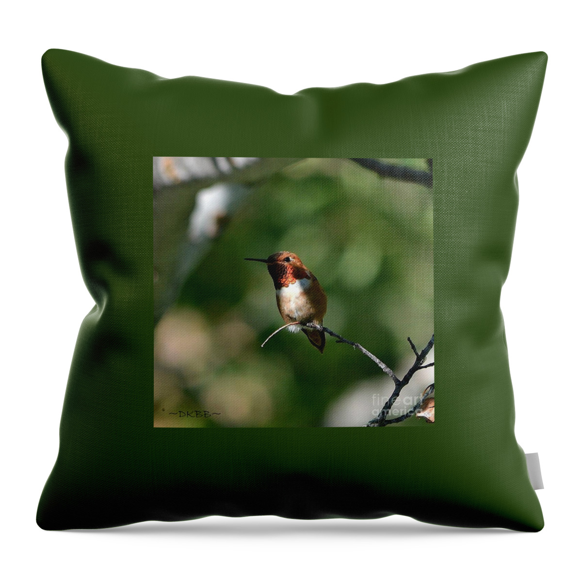 Hummingbird Throw Pillow featuring the photograph Resting Rufous by Dorrene BrownButterfield