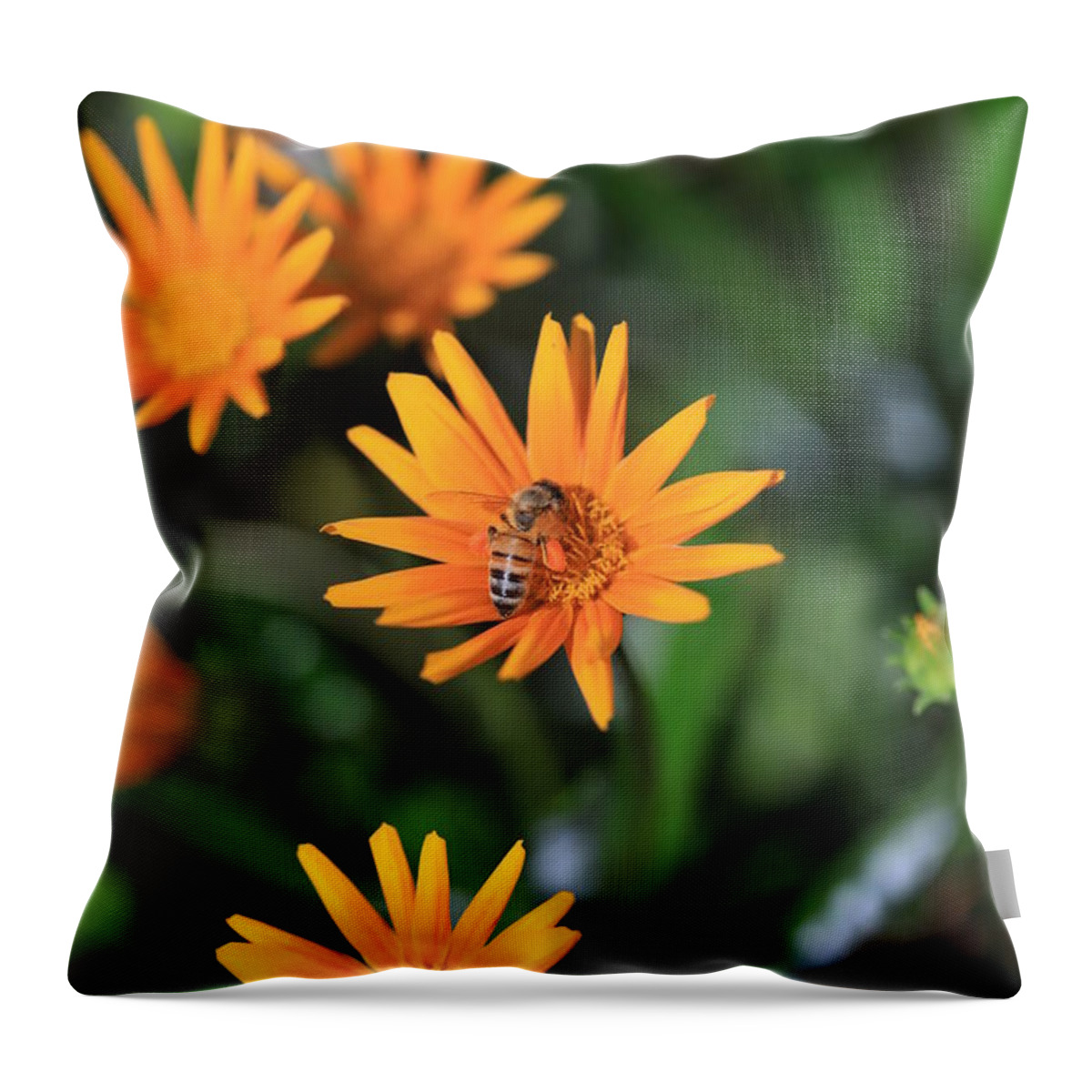 Yellow Spring Flowers Throw Pillow featuring the photograph Return Of The Pollinator by Az Jackson