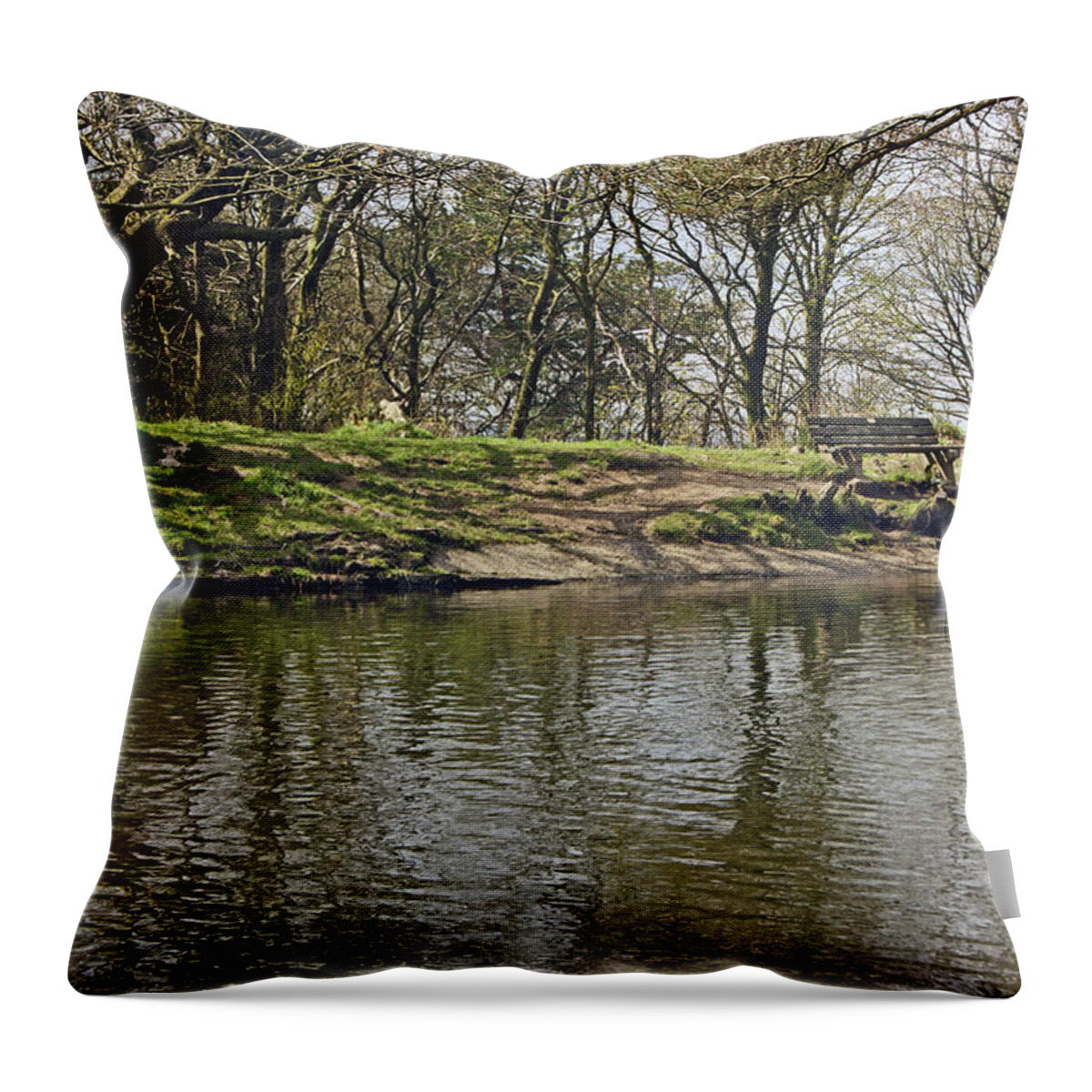 Rivington Throw Pillow featuring the photograph  RIVINGTON Japanese Pool Bench. by Lachlan Main