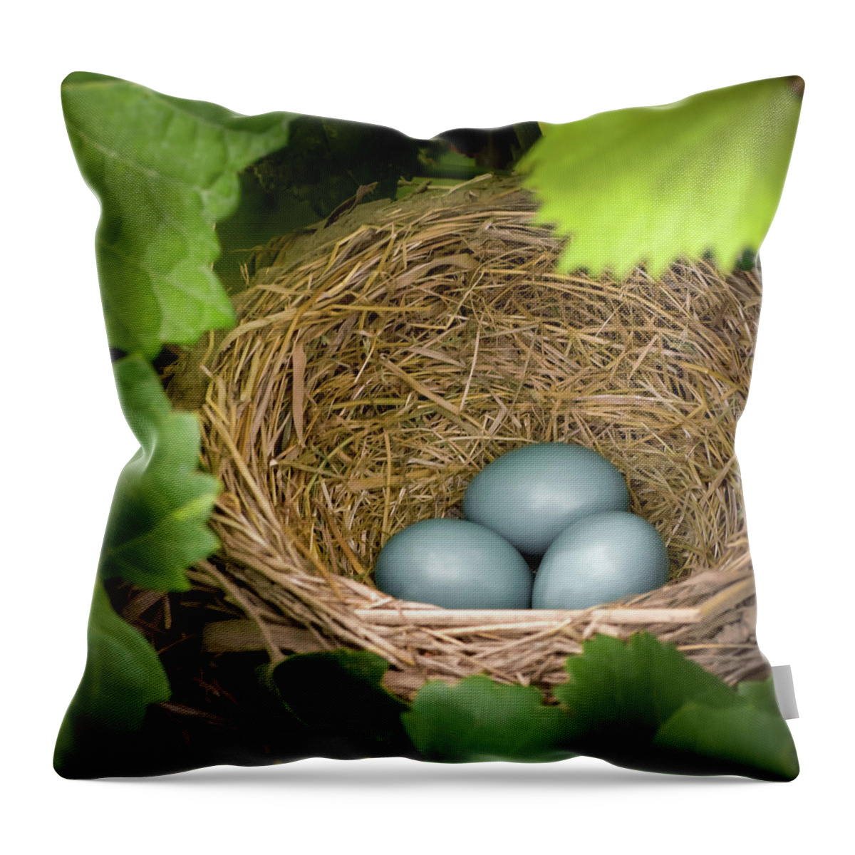 Robin Throw Pillow featuring the photograph Robin Egg Blues by James Barber