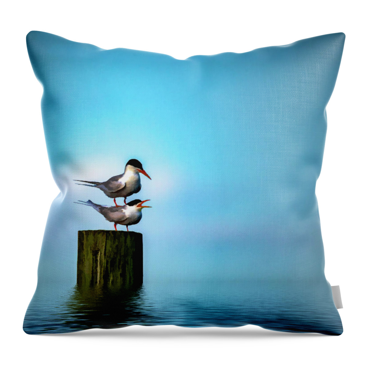 Terns Throw Pillow featuring the photograph Romance On The High Seas by Cathy Kovarik