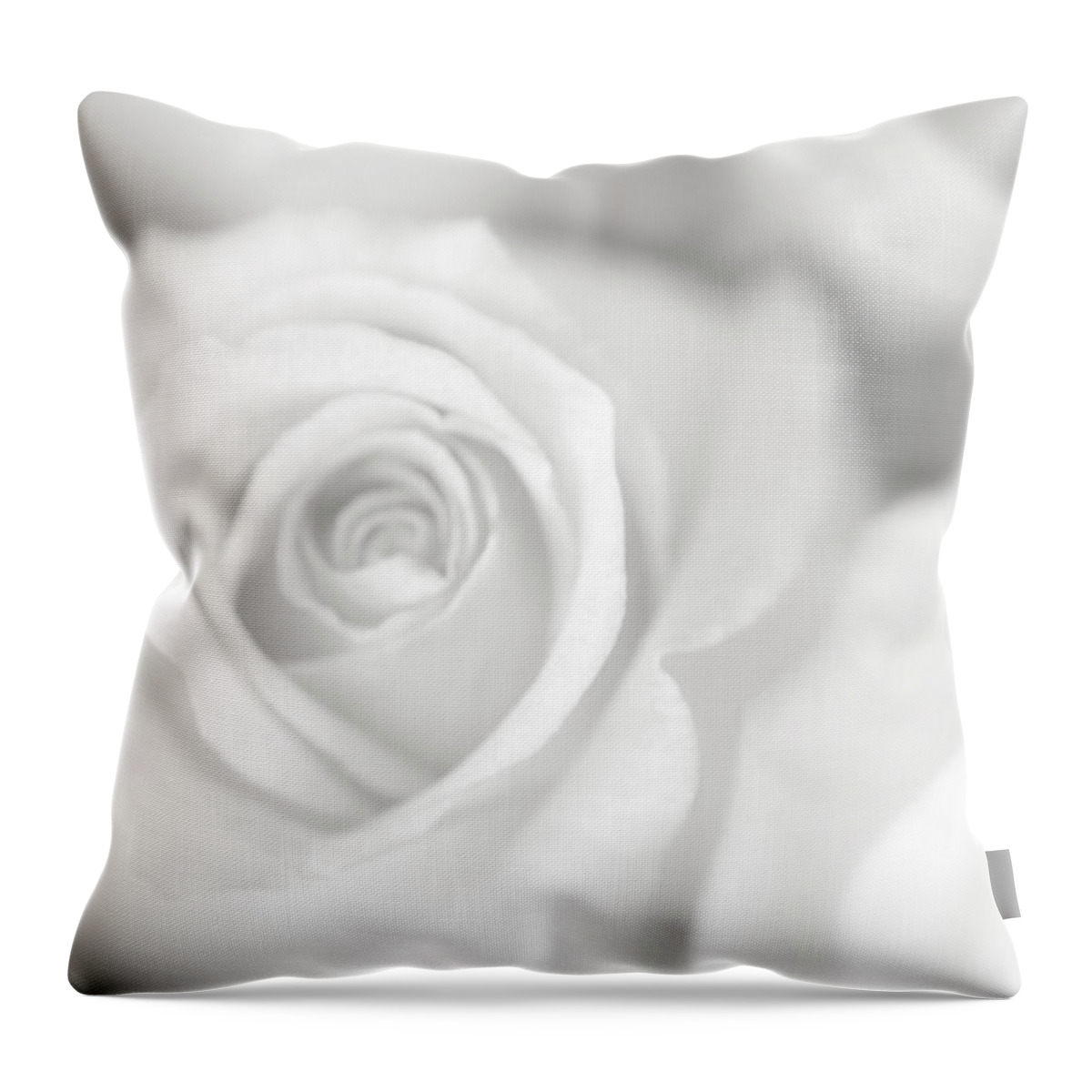 Photography Throw Pillow featuring the photograph Rose Studies II by James Mcloughlin