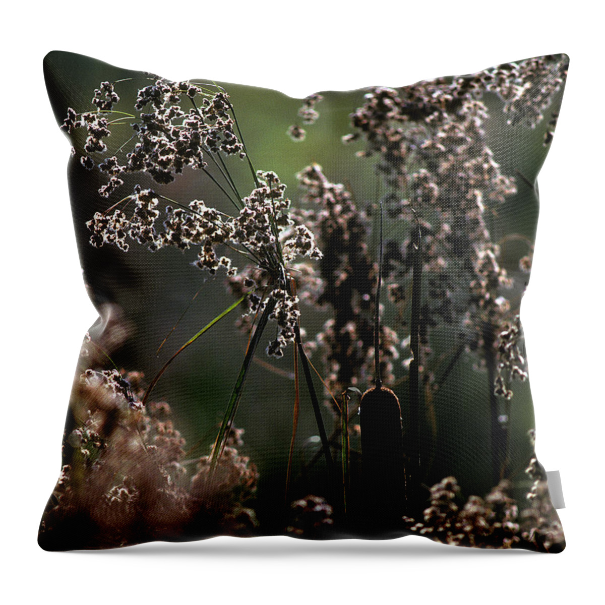 Marsh Throw Pillow featuring the photograph Rushes and Cattails 7G by Gerry Gantt