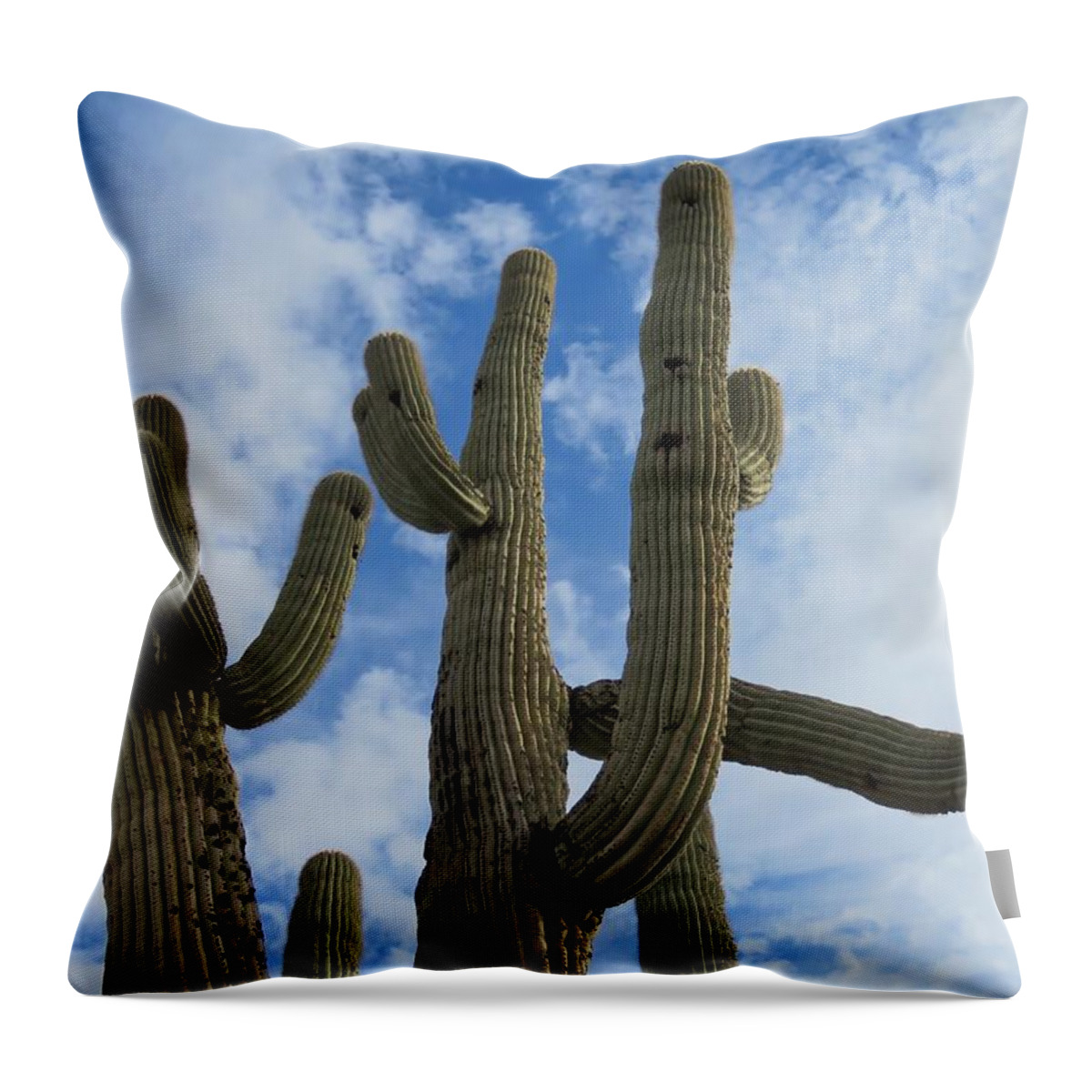 Arizona Throw Pillow featuring the photograph Saguaro Clique by Judy Kennedy
