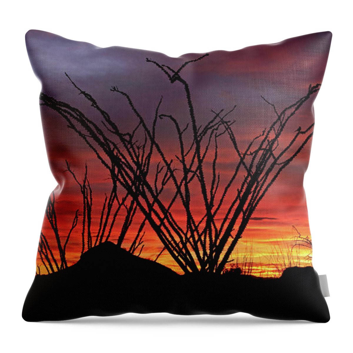Tom Daniel Throw Pillow featuring the photograph Salero Sunset #9 by Tom Daniel