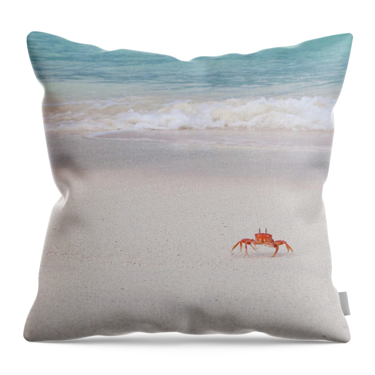 Water's Edge Throw Pillow featuring the photograph Sally Lightfoot Crab, Galapagos Islands by Original Photography