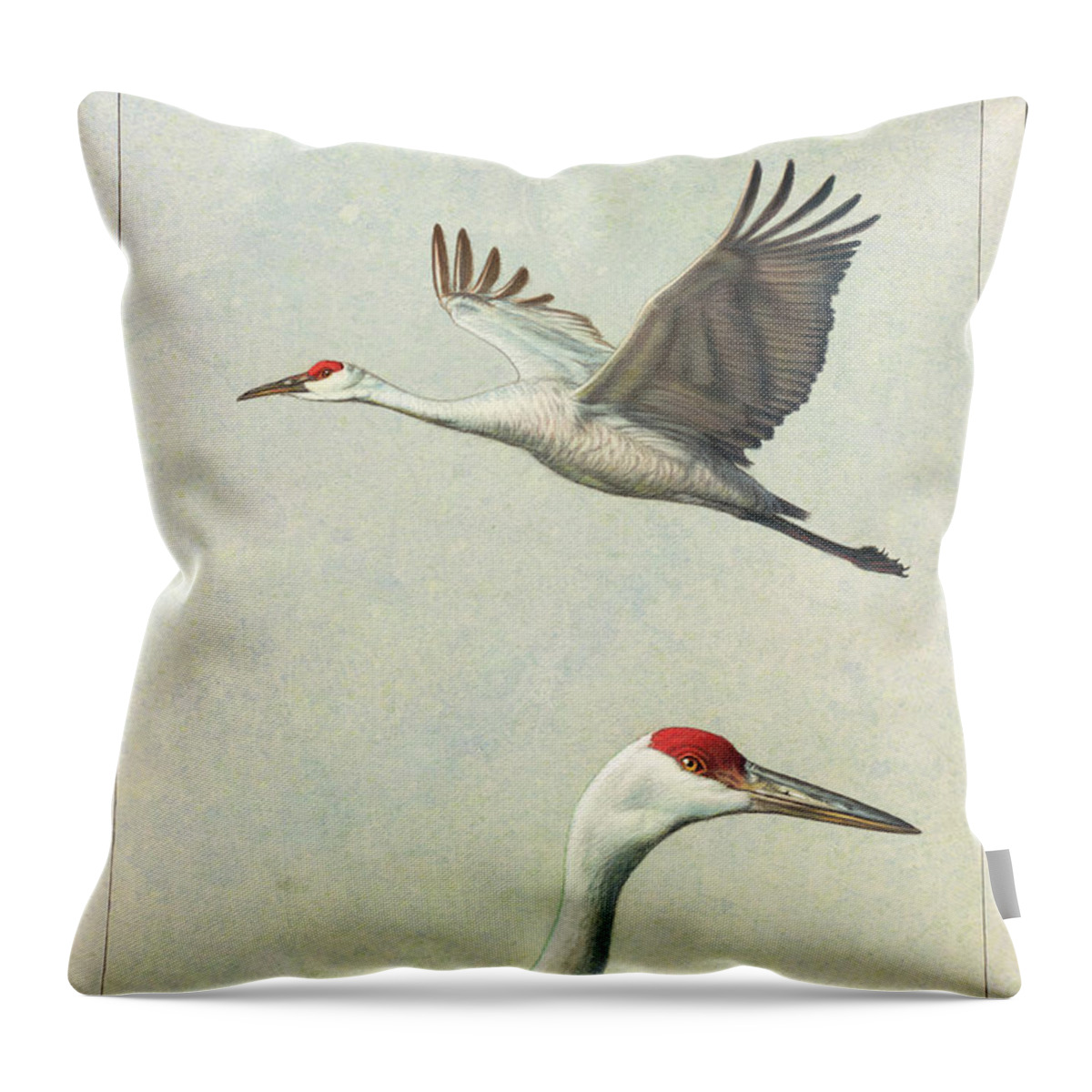 Crane Throw Pillow featuring the painting Sandhill Cranes by James W Johnson