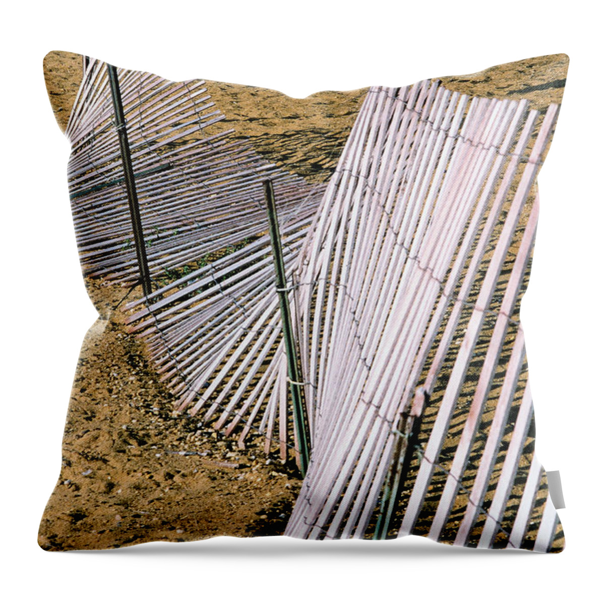 Beach Throw Pillow featuring the photograph Sandy Point by Steve Ember