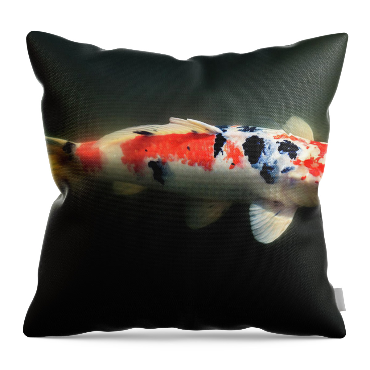 Japanese Garden Throw Pillow featuring the photograph Sanke Koi by Briand Sanderson
