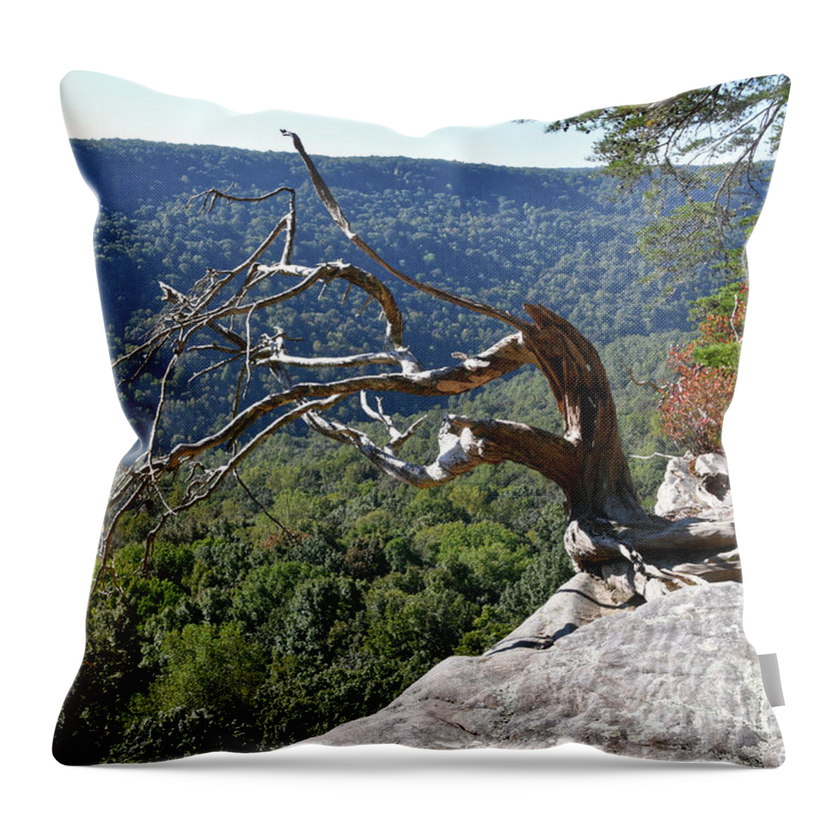 Savage Gulf Throw Pillow featuring the photograph Savage Gulf 15 by Phil Perkins