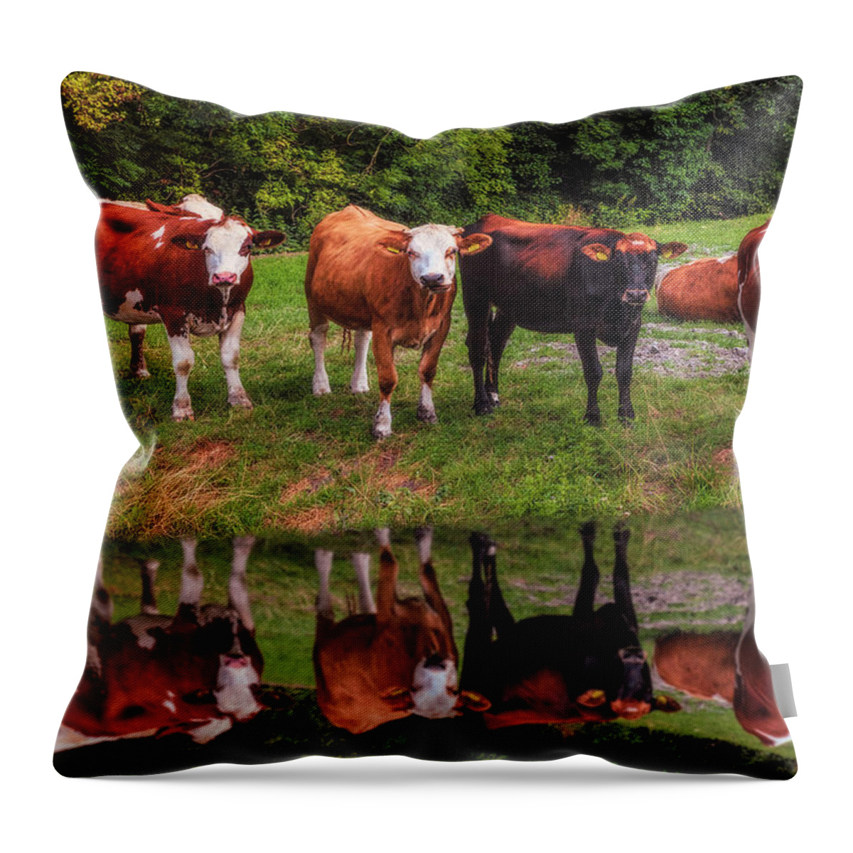 Animals Throw Pillow featuring the photograph Saying Hello in the Morning Sun by Debra and Dave Vanderlaan