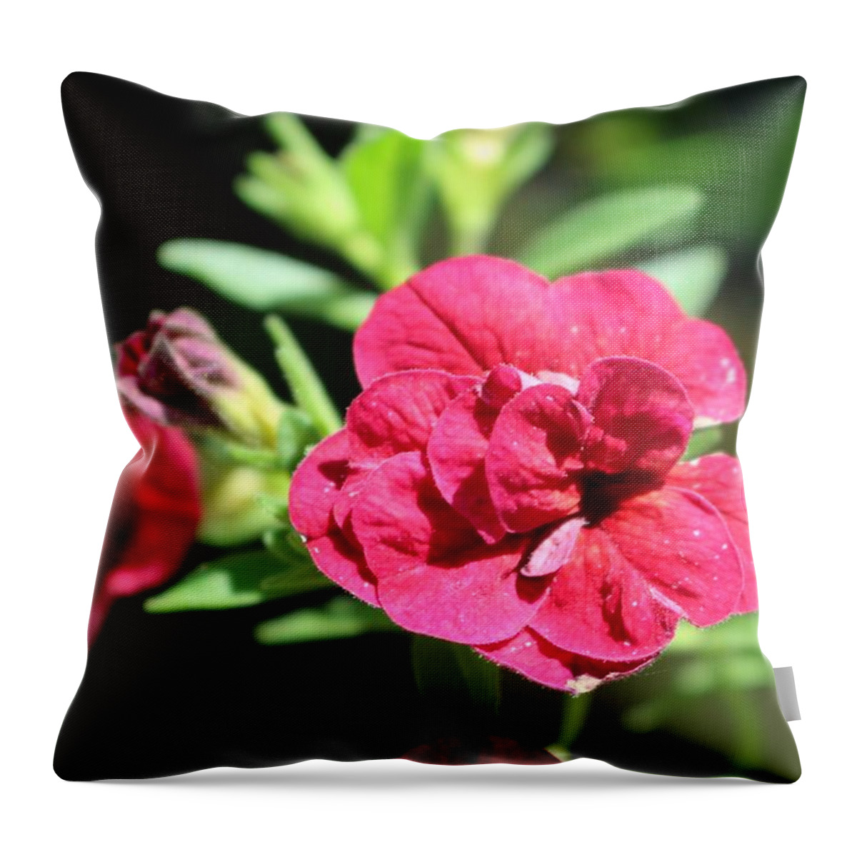 Geranium Throw Pillow featuring the photograph Scarlet Geranium in Cape May by Christopher Lotito