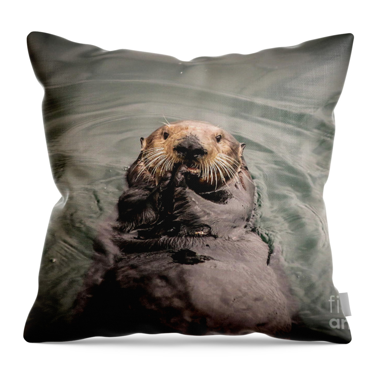 Sea Otter Throw Pillow featuring the photograph Sea Otter Monterey Bay II by Veronica Batterson