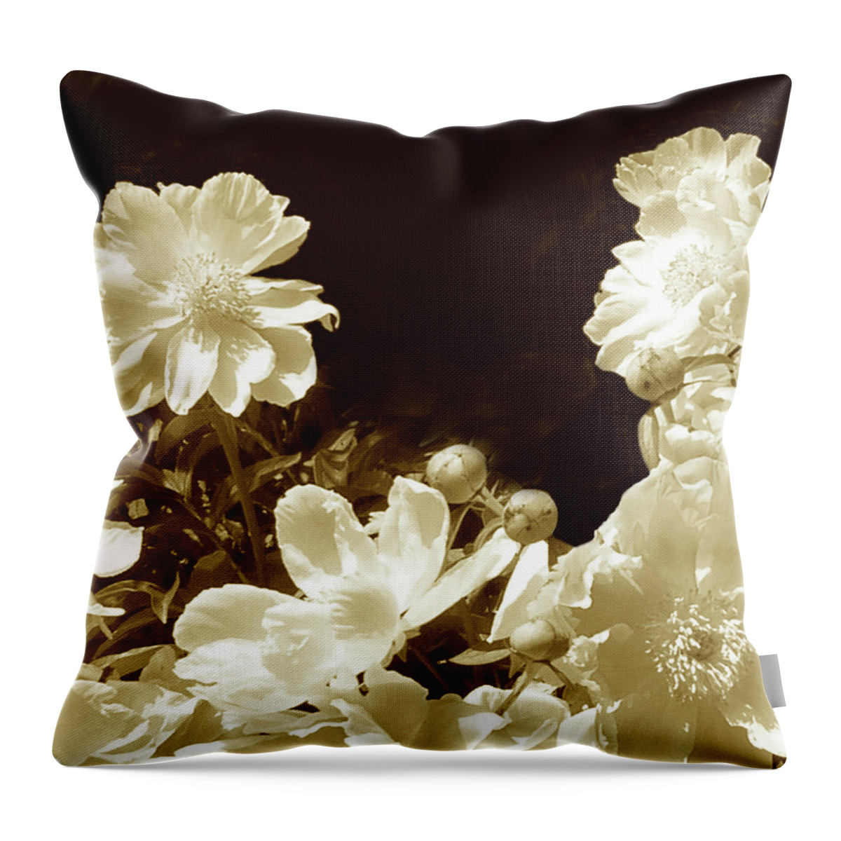 Modern Throw Pillow featuring the photograph Sepia Peonies IIi by Chariklia Zarris