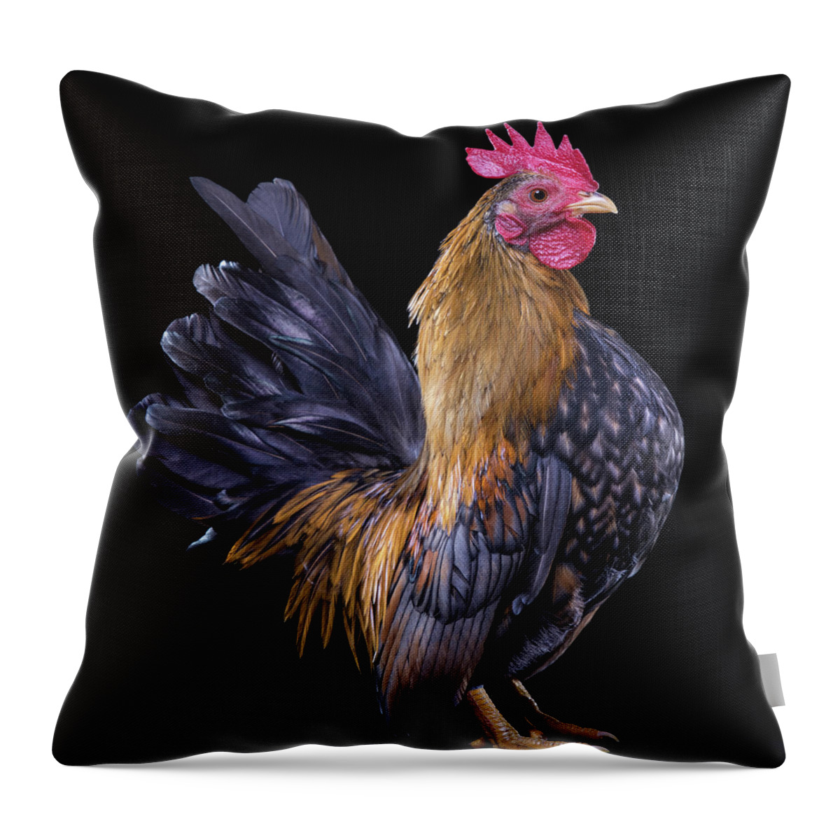 Serama Chicken Throw Pillow