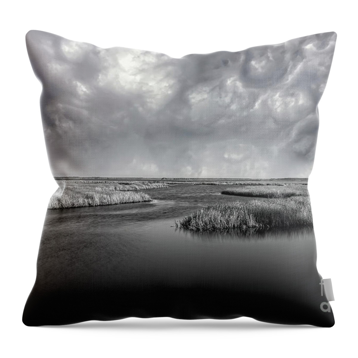 Landscape Throw Pillow featuring the photograph Serenity Before The Storm by DB Hayes