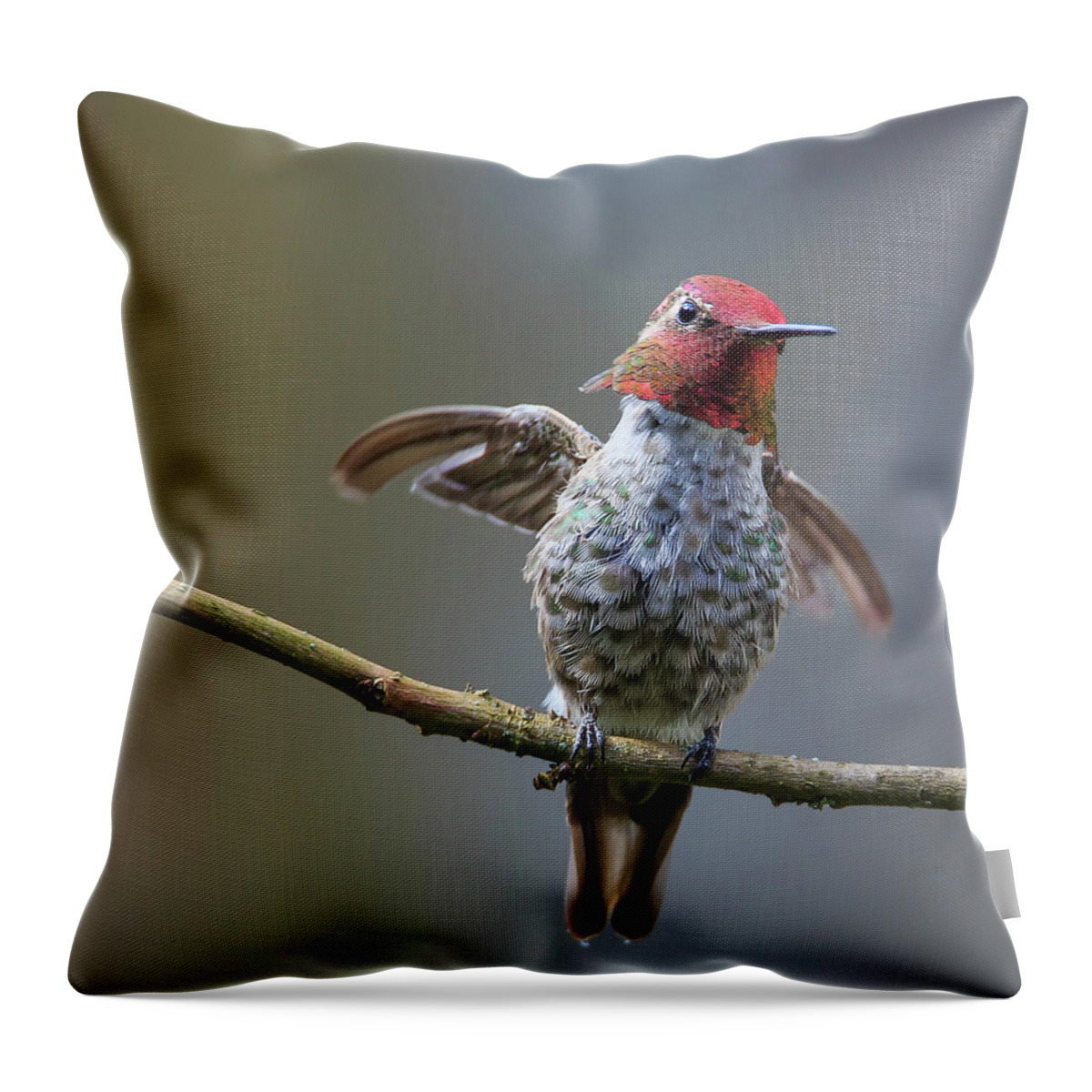 Animal Throw Pillow featuring the photograph Shake It Off by Briand Sanderson