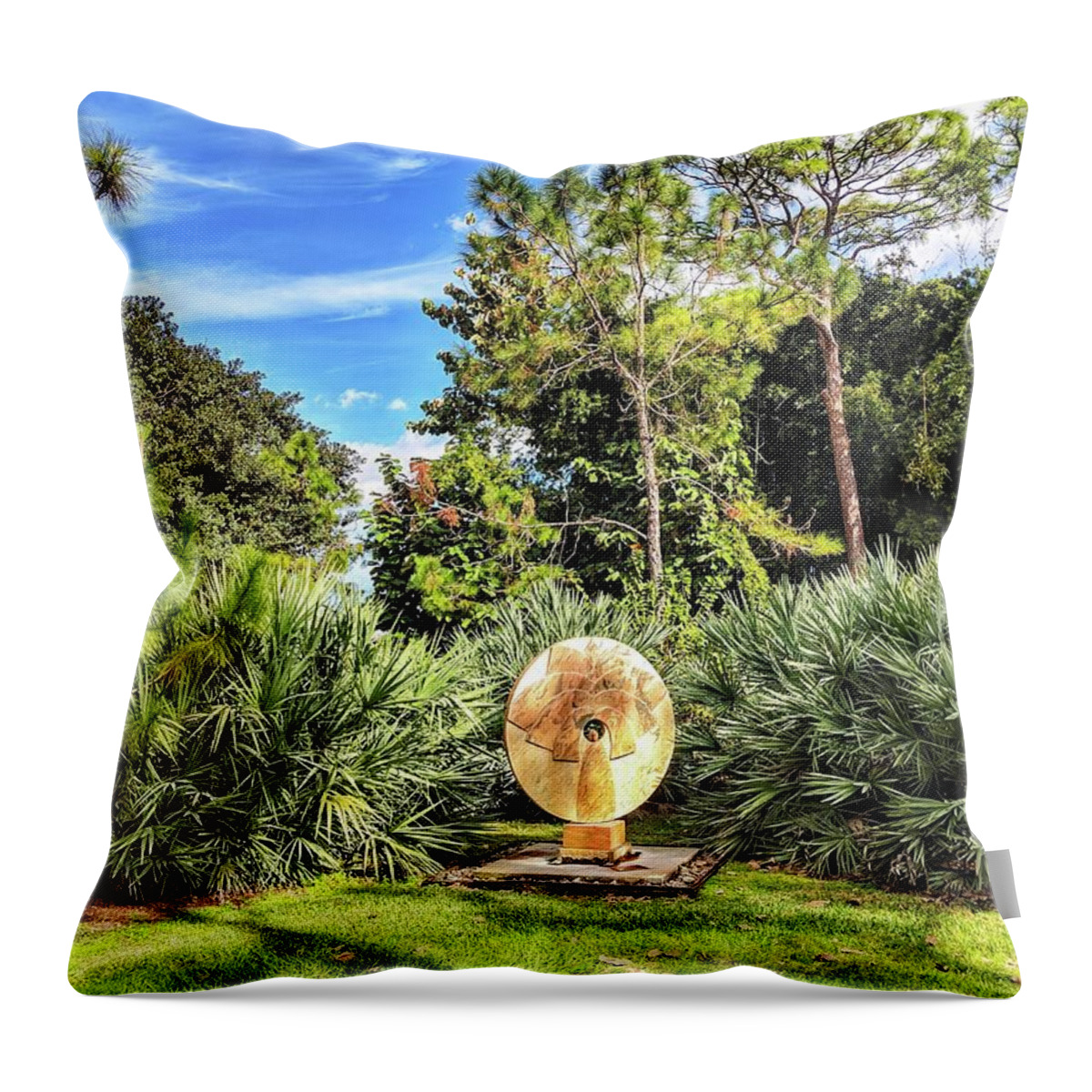 Sunny Throw Pillow featuring the photograph Shine Bright by Portia Olaughlin
