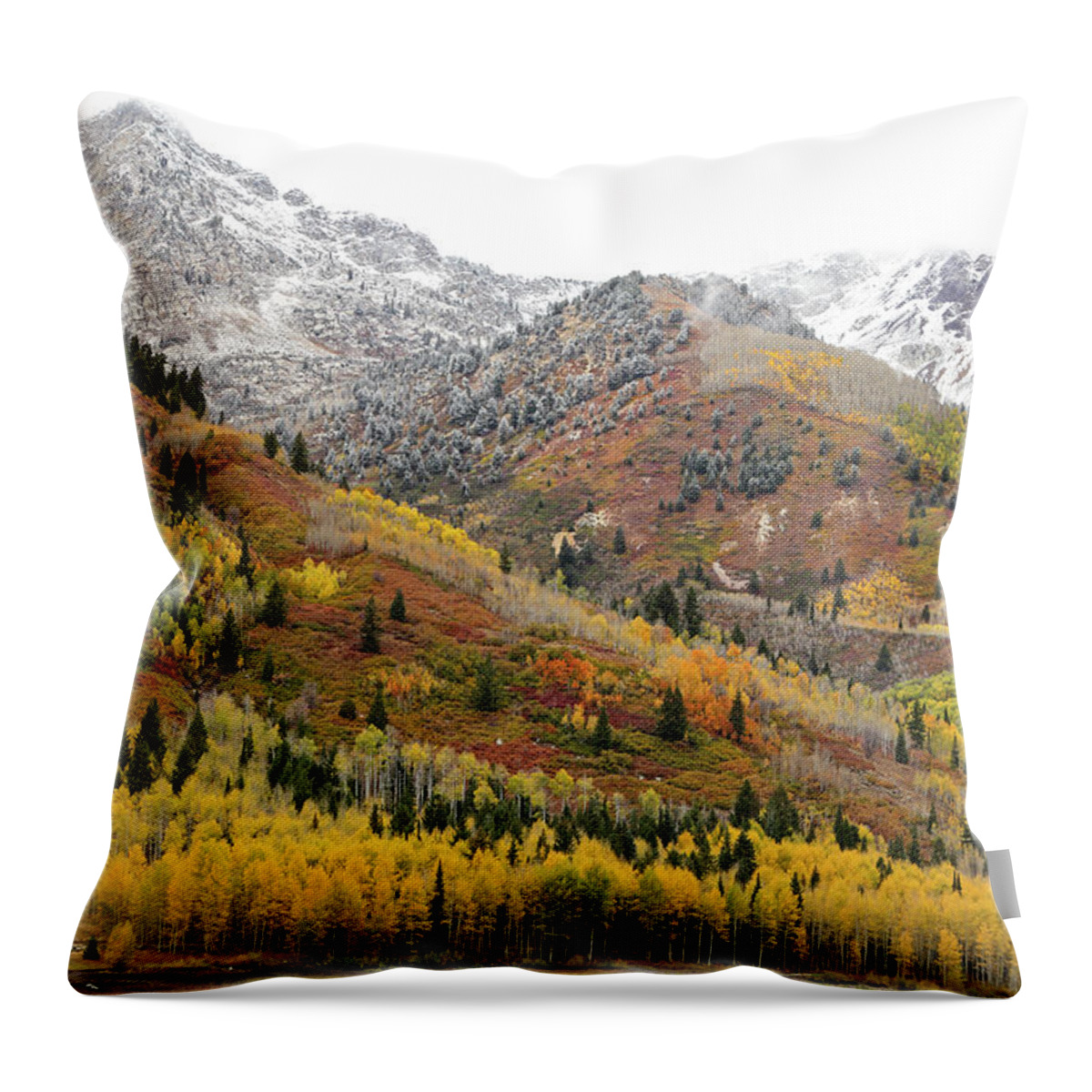 Utah Throw Pillow featuring the photograph Silver Lake Flat with Fall Colors - American Fork Canyon, Utah by Brett Pelletier