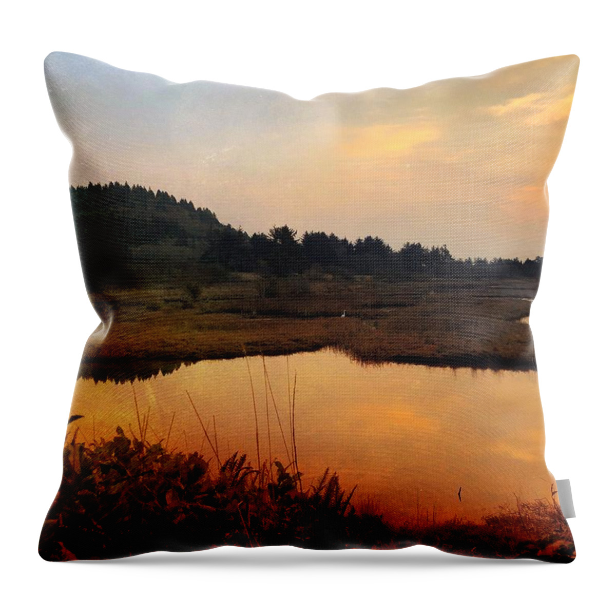Sunset Throw Pillow featuring the digital art Sitka Sedge Sand Lake Eve by Chriss Pagani