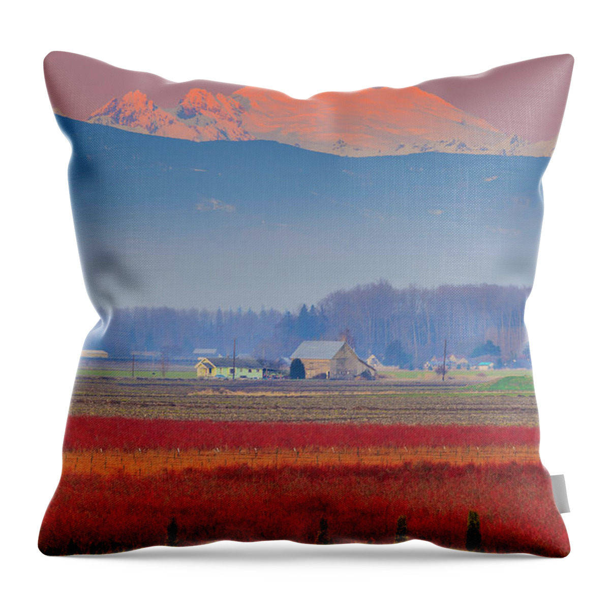 Skagit Valley Throw Pillow featuring the photograph Skagit Sunset by Briand Sanderson