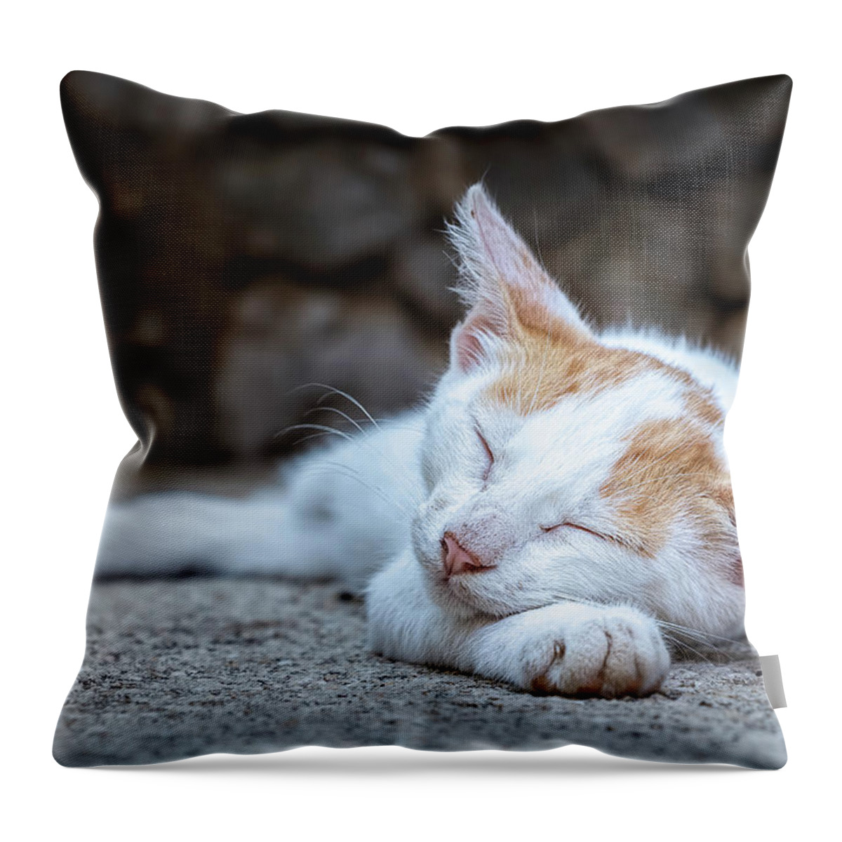 Animal Throw Pillow featuring the photograph Sleeping Kitty by Rick Deacon