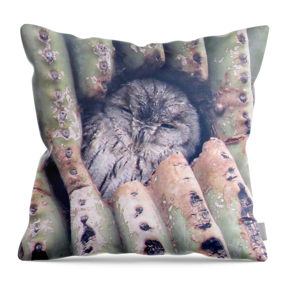 Animals Throw Pillow featuring the photograph Sleepy Eye by Judy Kennedy