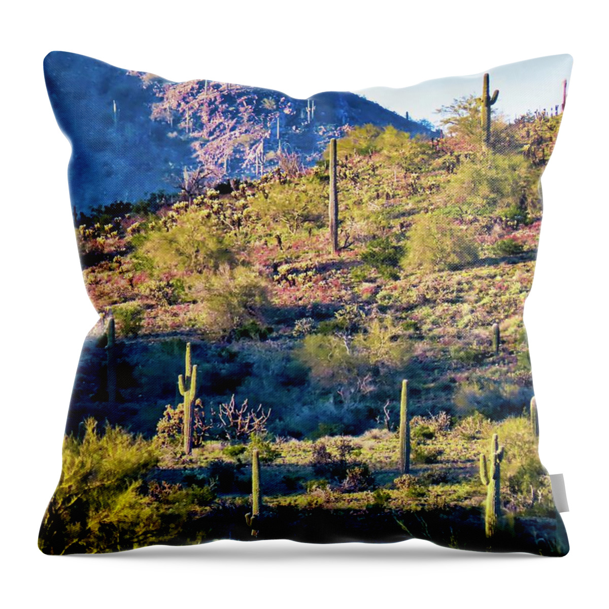 Arizona Throw Pillow featuring the photograph Slope of the Saguaros by Judy Kennedy