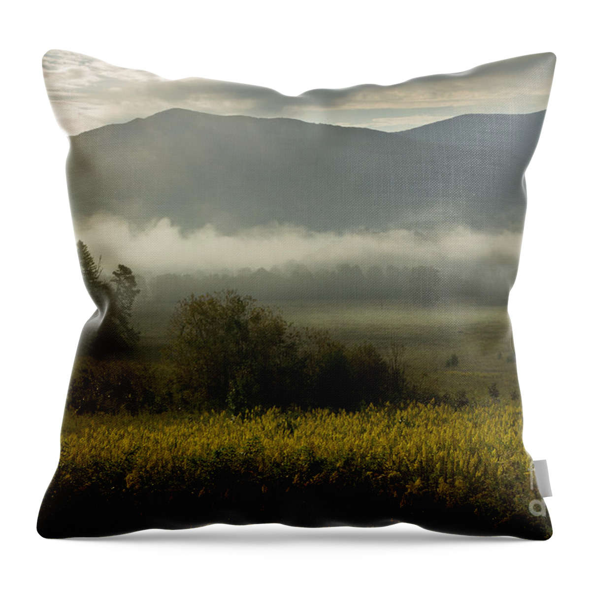 Sunrise Throw Pillow featuring the photograph Smoky Mountain October 2 by Mike Eingle