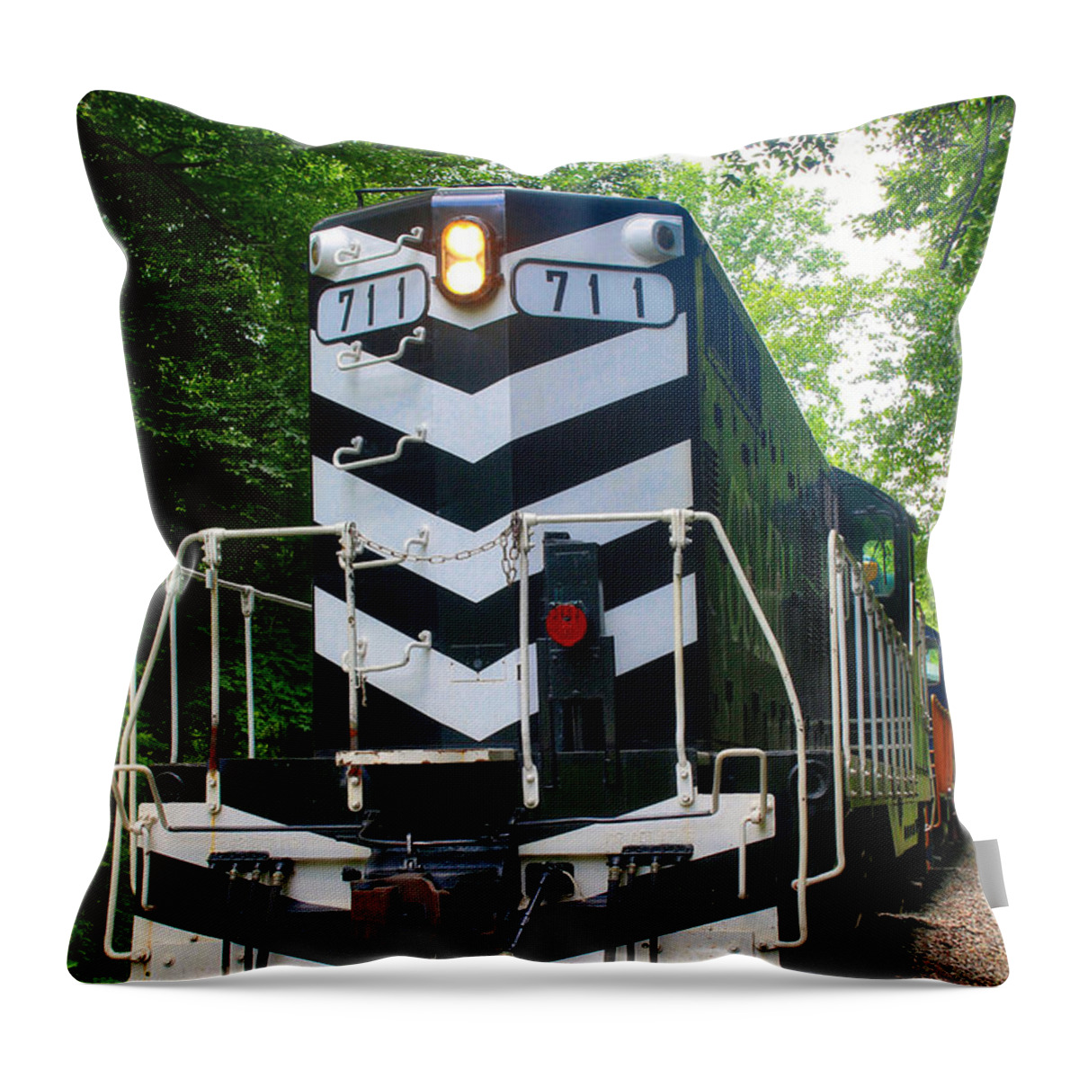 Nunweiler Throw Pillow featuring the photograph Smoky Mountain Railroad by Nunweiler Photography